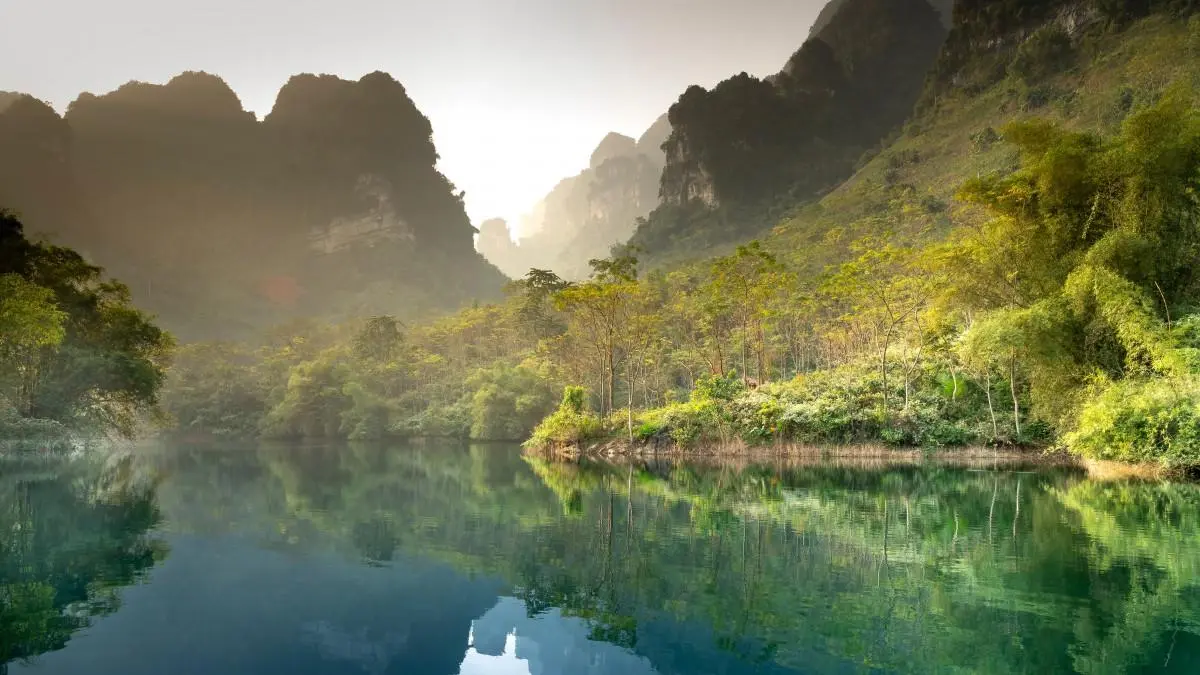 独特高精度可靠性